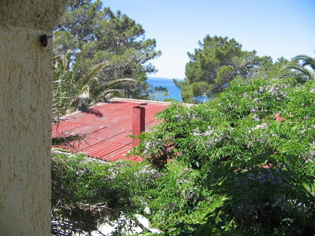 Apartments Palma Vir Eksteriør bilde
